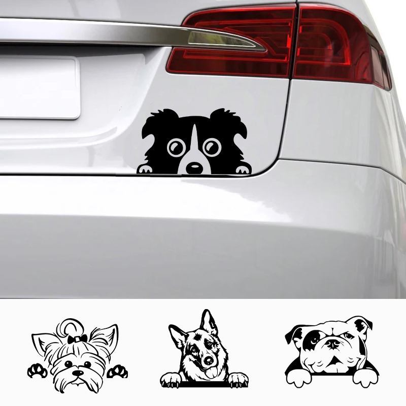 Apple Accessories Laptop - Cars Accessorie Decals Funny Dog With