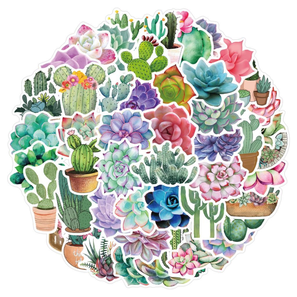 50PCS Succulent Stickers For L - Laptop Accessories Girly 评论和价格