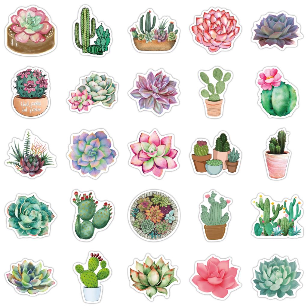 50PCS Succulent Stickers For L - Laptop Accessories Girly 评论和价格