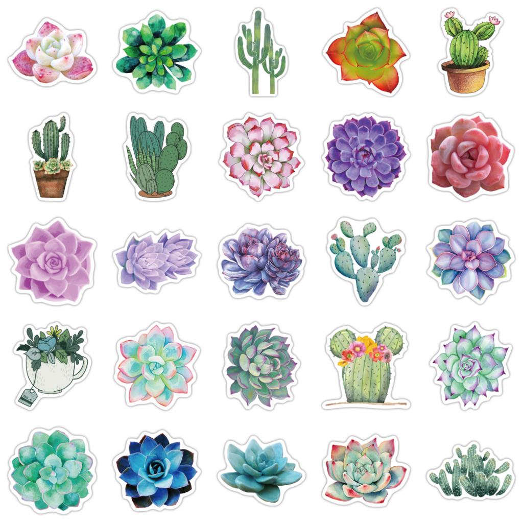 50PCS Succulent Stickers For L - Laptop Accessories Girly 评论和价格