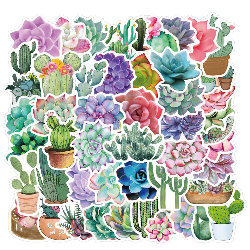 50PCS Succulent Stickers For L - Laptop Accessories Girly 评论和价格